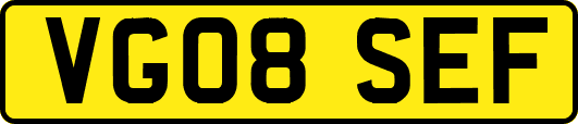 VG08SEF