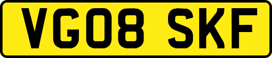 VG08SKF