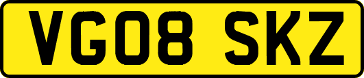 VG08SKZ