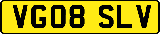 VG08SLV