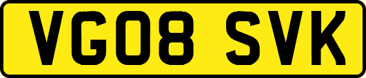 VG08SVK