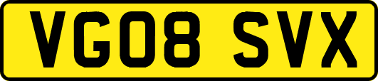 VG08SVX