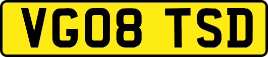 VG08TSD