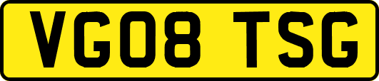 VG08TSG