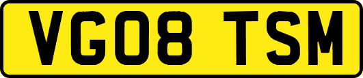 VG08TSM