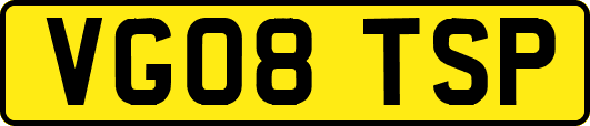 VG08TSP