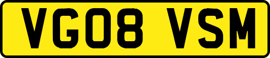 VG08VSM