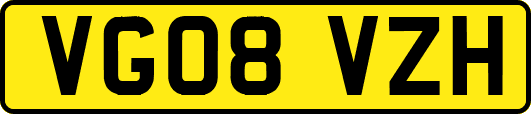 VG08VZH