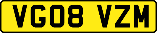 VG08VZM