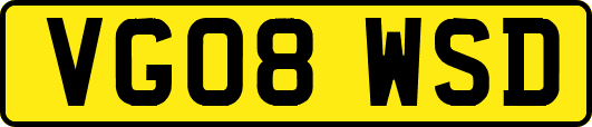VG08WSD