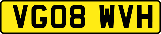 VG08WVH