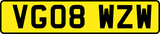 VG08WZW