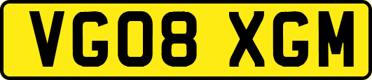VG08XGM