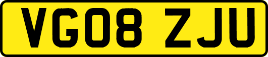 VG08ZJU