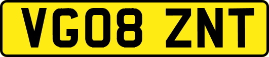 VG08ZNT