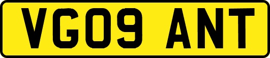 VG09ANT