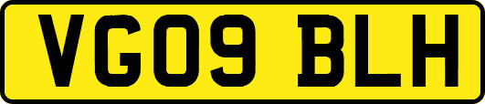 VG09BLH