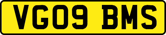 VG09BMS