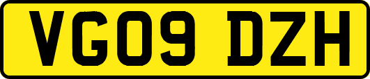 VG09DZH