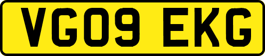 VG09EKG