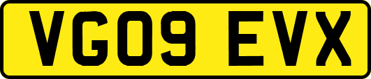 VG09EVX