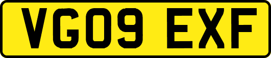 VG09EXF