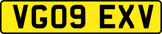 VG09EXV