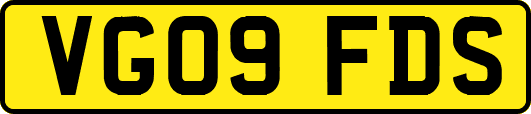 VG09FDS