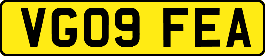 VG09FEA
