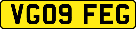 VG09FEG