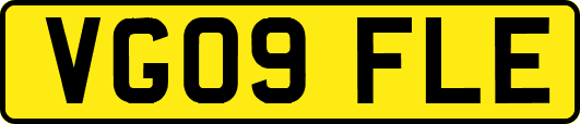 VG09FLE