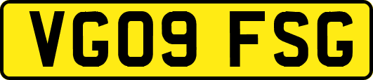 VG09FSG