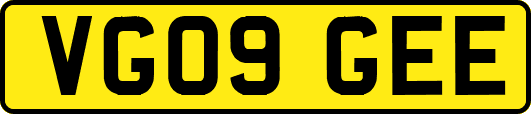 VG09GEE