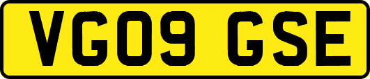 VG09GSE