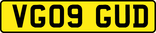 VG09GUD
