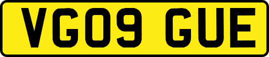 VG09GUE
