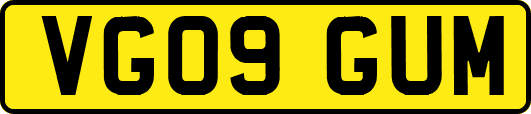 VG09GUM