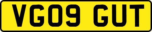 VG09GUT