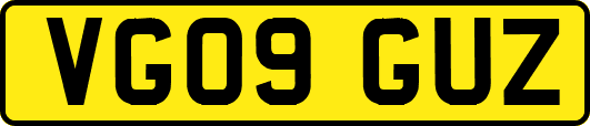 VG09GUZ