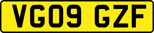 VG09GZF