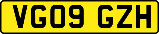 VG09GZH
