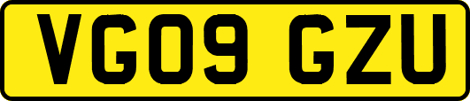 VG09GZU