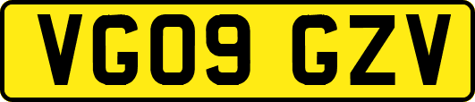 VG09GZV