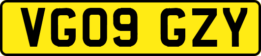 VG09GZY