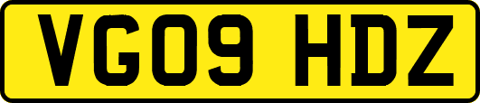 VG09HDZ