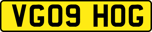 VG09HOG