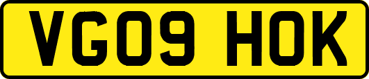 VG09HOK