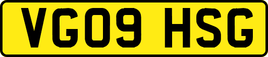 VG09HSG
