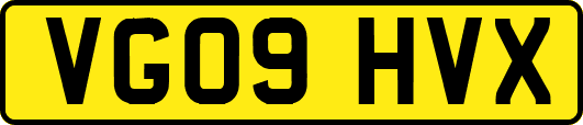 VG09HVX