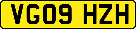 VG09HZH